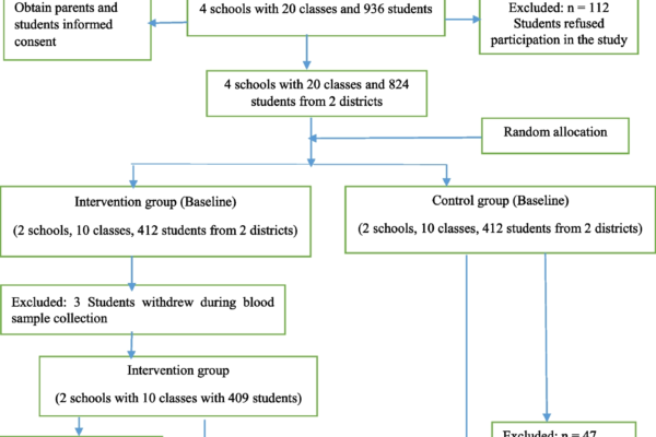 Reducing the incidence of overweight and obesity by a healthy lifestyle intervention program for schoolchildren in Hanoi, Vietnam: a randomized controlled trial | BMC Public Health