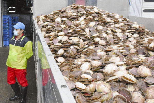 China to express readiness to lift import ban on Japanese seafood