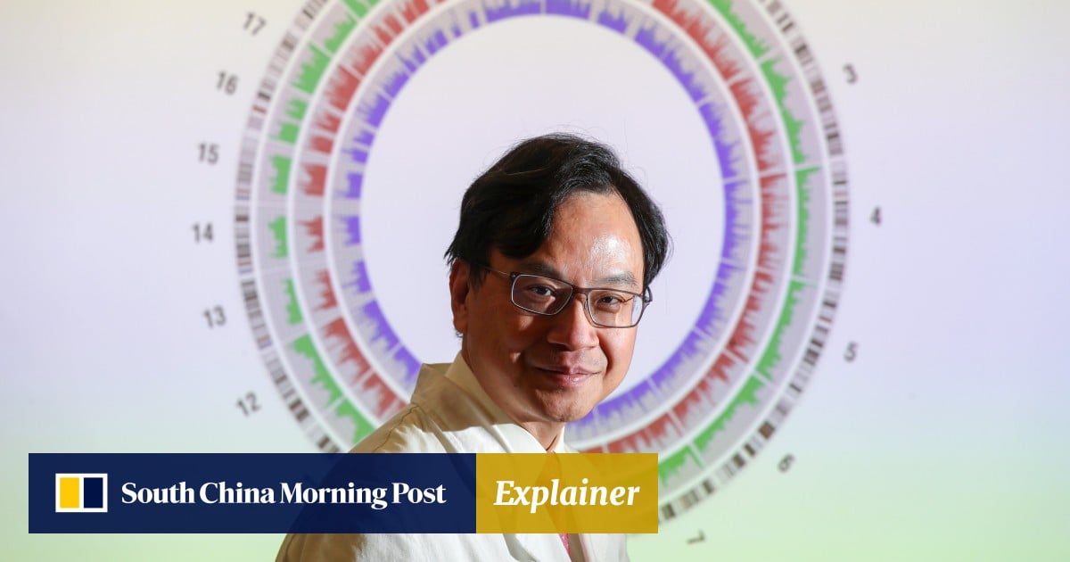 Who is Hong Kong scientist Dennis Lo and what is sole candidate for top CUHK job best known for?