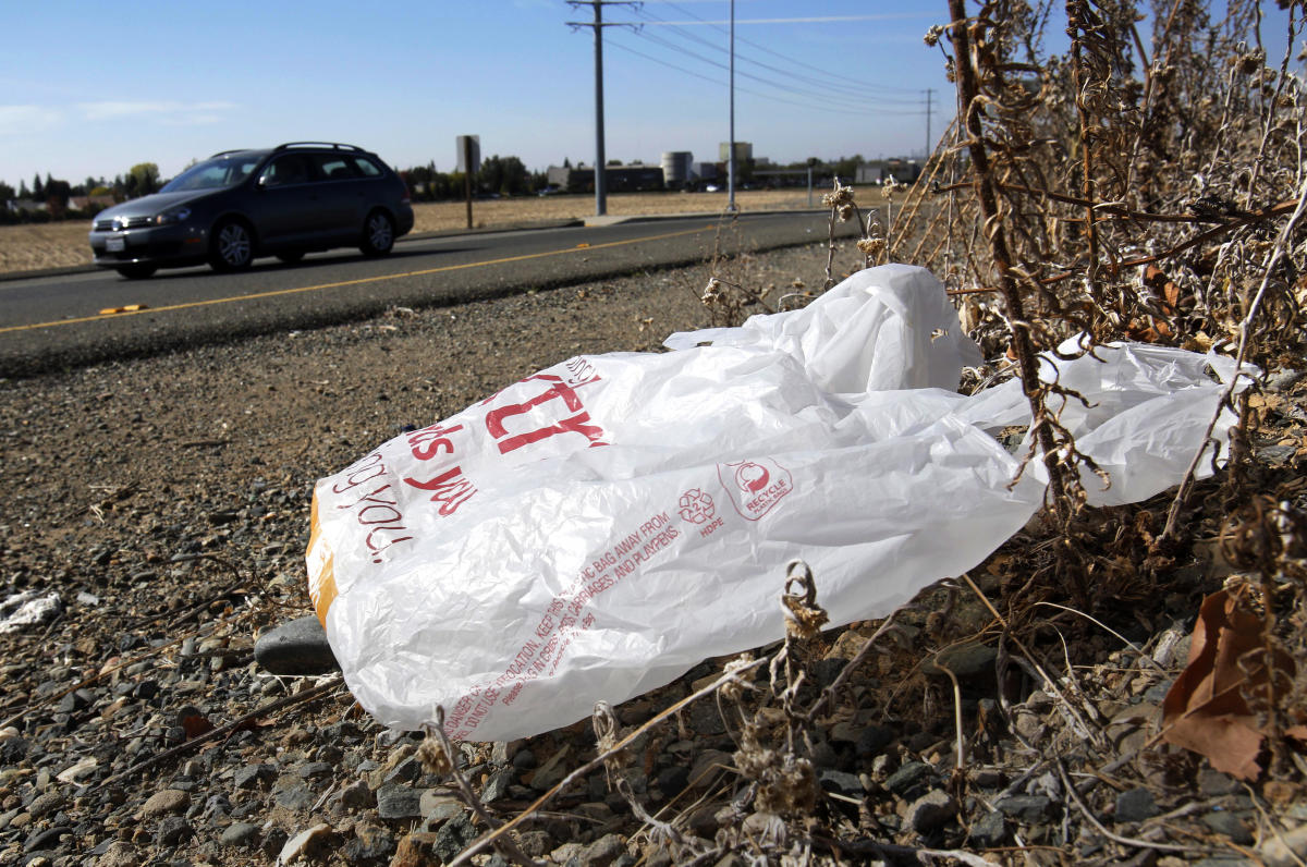 California governor signs law banning all plastic shopping bags at grocery stores