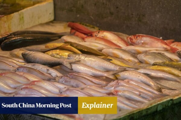 Hong Kong has outbreak of deadly fish-linked infection. Here’s how you can protect yourself