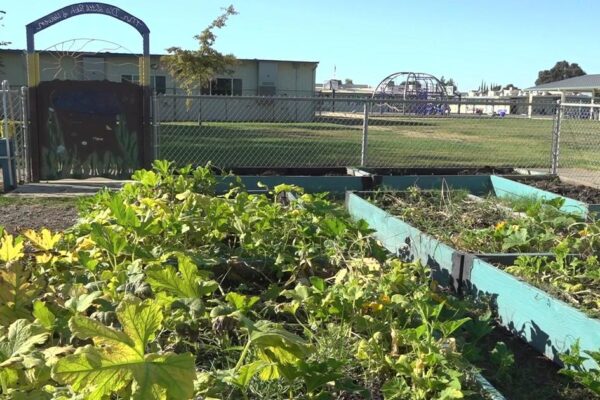 School nutrition program to get kids excited about healthy eating sees success in Yuba City