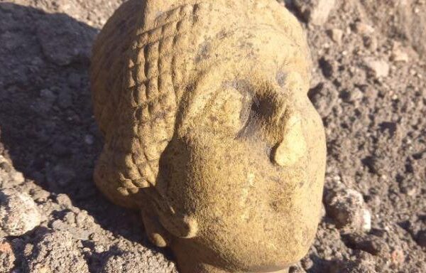 A stone Roman head carving lying on a pebbled ground. It is pale yellow and has its eyes closed and a damaged nose.