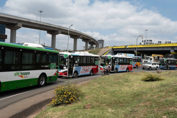 Electric buses, most of them from BYD, during a roadshow in Nairobi, Kenya, during the Africa E-mobility Week in September. Photo / CGSP