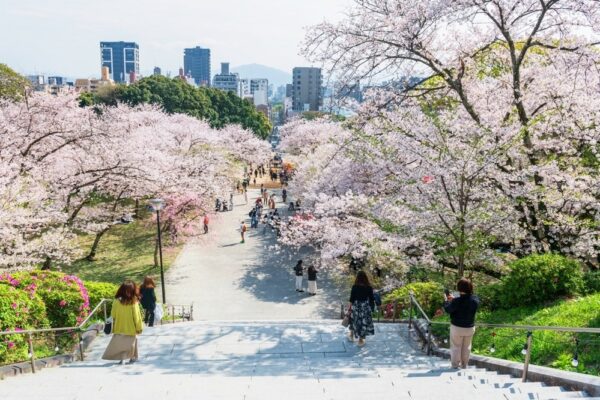 Study: Lifestyle Medicine and Japan’s Longevity Miracle. Image Credit: Blanscape/Shutterstock.com