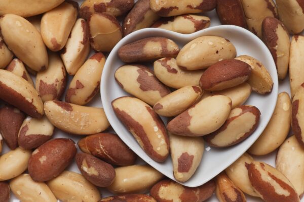 Brazil Nut (Bertholletia excelsa H.B.K.) Consumption in Energy-Restricted Intervention Decreases Proinflammatory Markers and Intestinal Permeability of Women with Overweight/Obesity: A Controlled Trial (Brazilian Nuts Study). Image Credit: Igor Dutina / Shutterstock