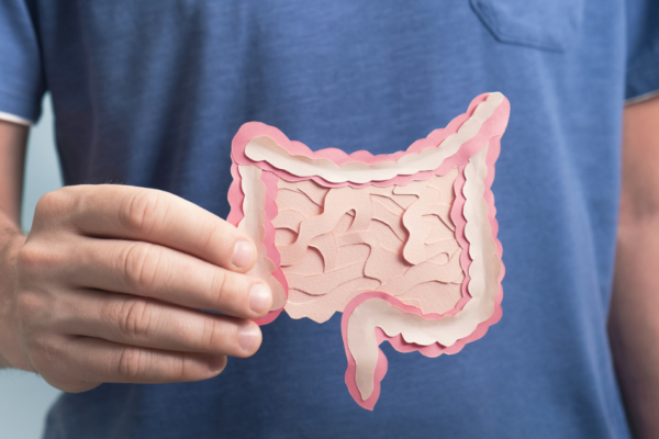 Man holding paper cutout of digestive system