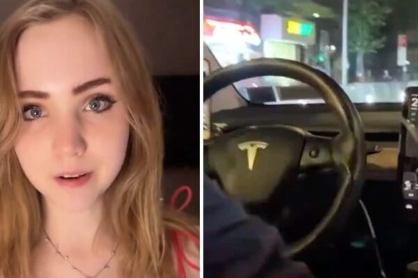 German YouTuber gets self-driving Tesla cab. Elon Musk responds to ‘surreal’ video | Trending