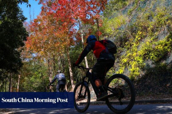 Death of mainland cyclist in Hong Kong sparks calls for road safety publicity boost