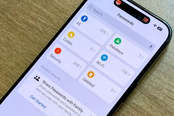 Apple Passwords can't hold credit cards like 1Password can