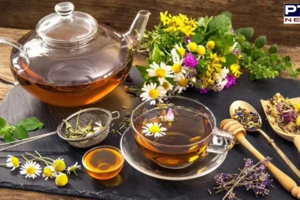 10 Must-Try Herbal Teas for a Healthy Lifestyle | Web Stories