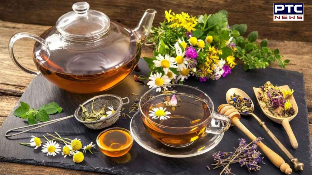 10 Must-Try Herbal Teas for a Healthy Lifestyle | Web Stories