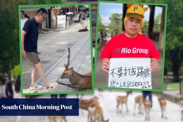 China tourist accused of hurting wild animal in Japan park by furious ‘scary’ volunteer