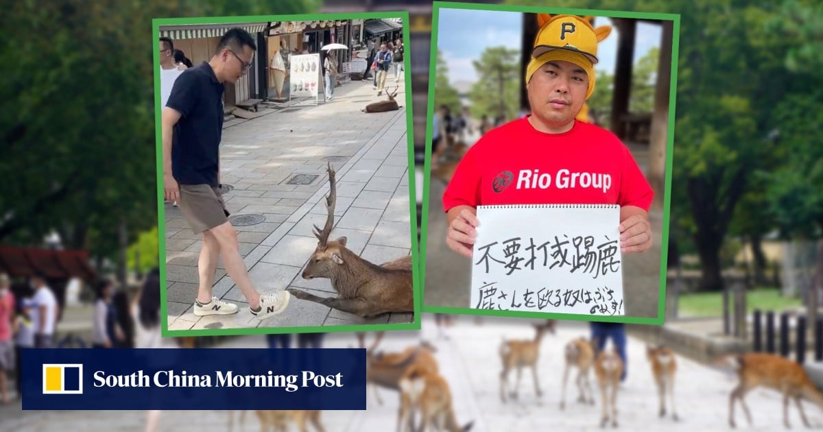 China tourist accused of hurting wild animal in Japan park by furious ‘scary’ volunteer