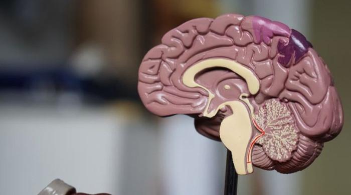 Expert explains how healthy lifestyle can help protect brain from cognitive decline