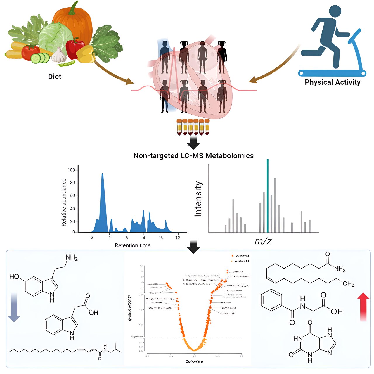 Lifestyle intervention from childhood to adolescence affects metabolism even years later, finds study