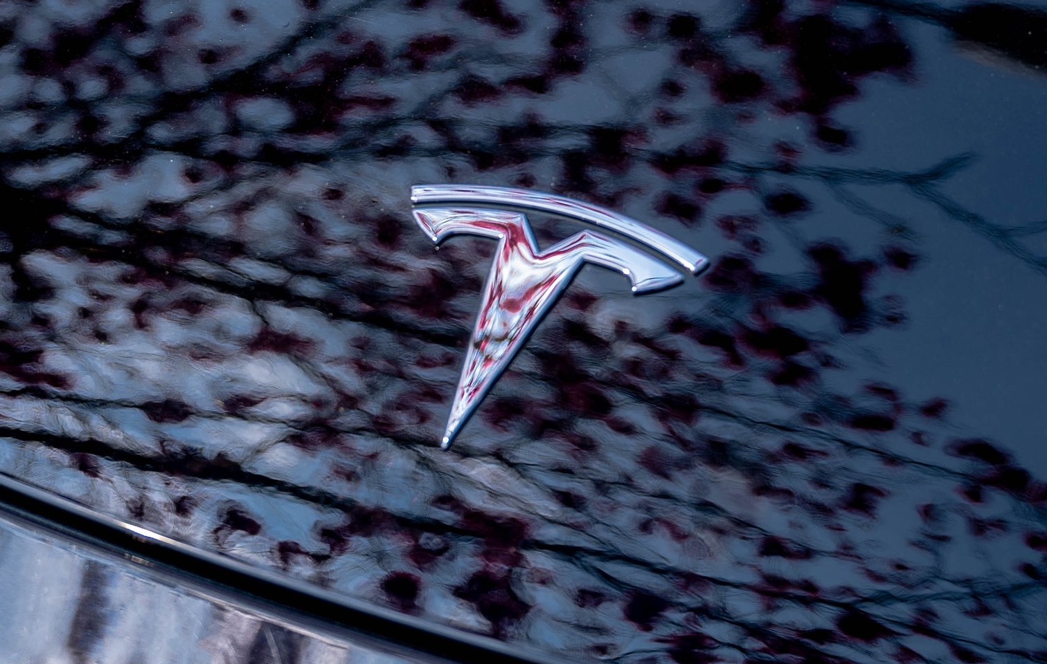 Tesla team to provide help as Shanghai faces aftermath of strongest typhoon in 75 years