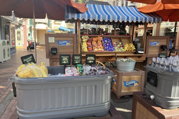 Top 5 Tips for Eating Healthy at Disneyland