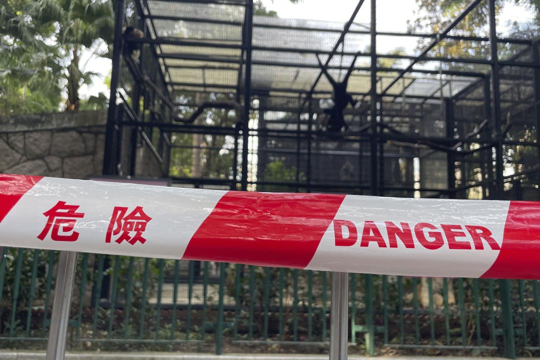 A Possible Answer After 9 Monkeys Die in 2 Days