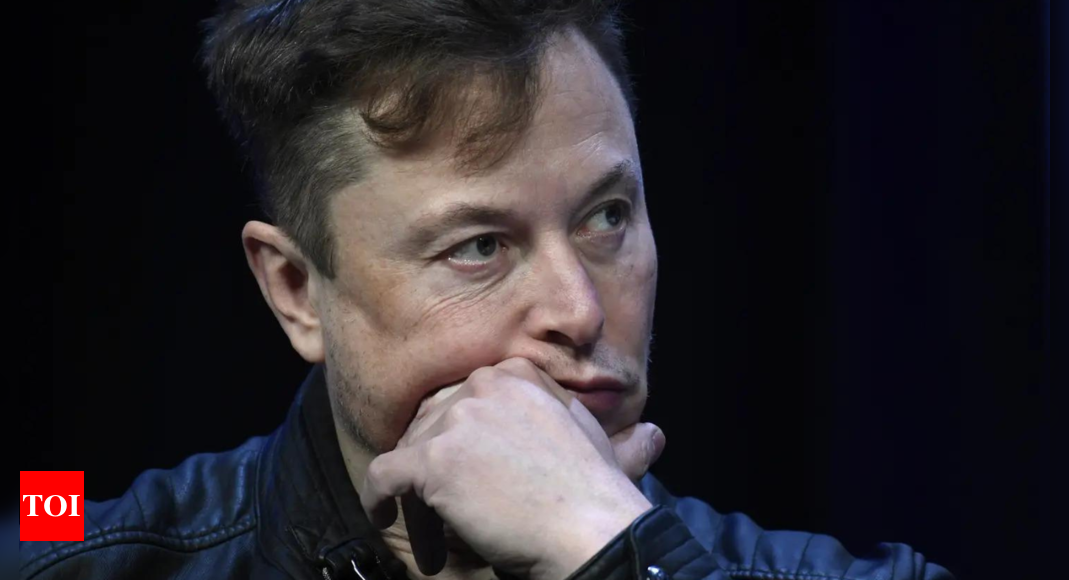 'Diabolically smart tbh': Elon Musk accuses Democrats of flipping swing states with illegal immigration