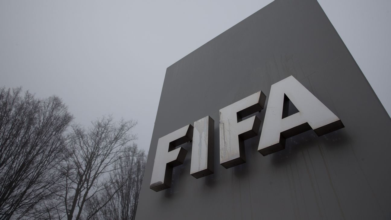 FIFA to consider transfer rules after Lassana Diarra trial