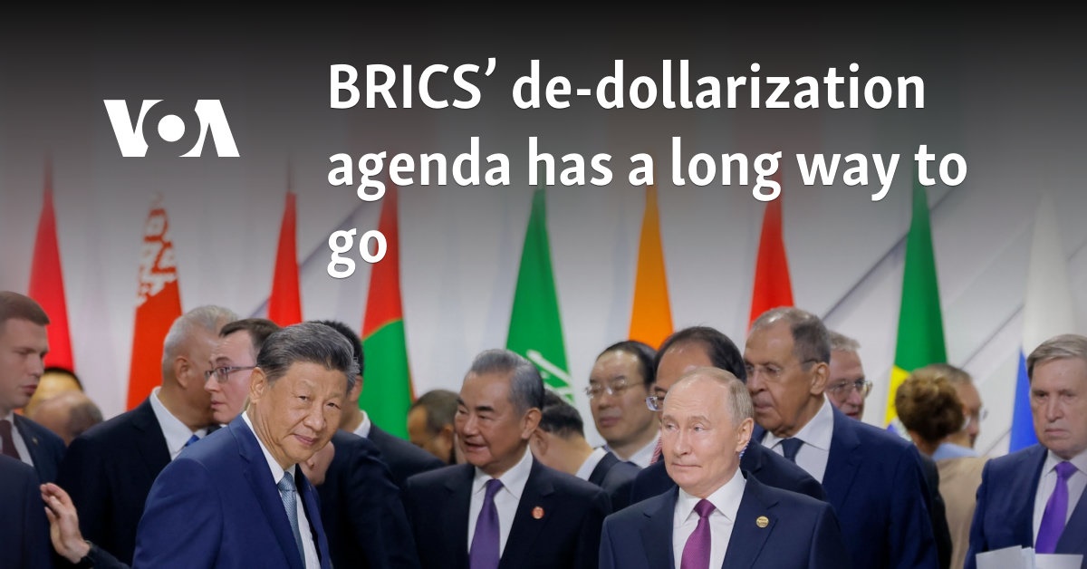 BRICS’ de-dollarization agenda has a long way to go