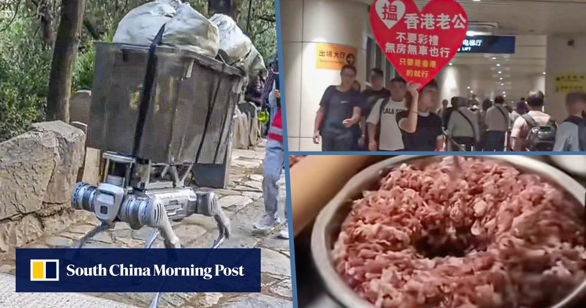 China snapshot news: robot dog porter, Hong Kong husband sought, stinky ‘nutritious’ lunches