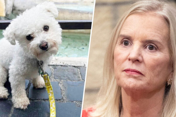 Kerry Kennedy details 'terrifying and violent' attack that killed her dog hours after mom Ethel died