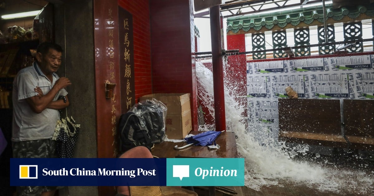 Opinion | Hong Kong’s climate actions must match its words