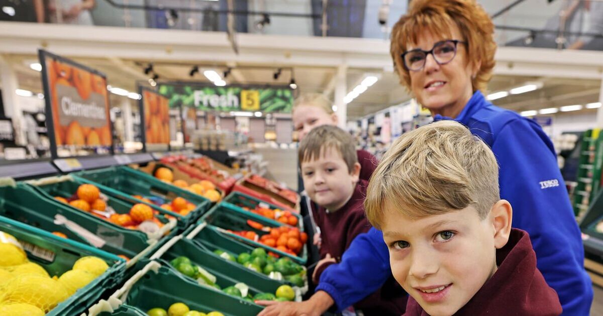 First Tesco healthy eating scheme kids embark on a fruit & veg trolley dash | UK | News