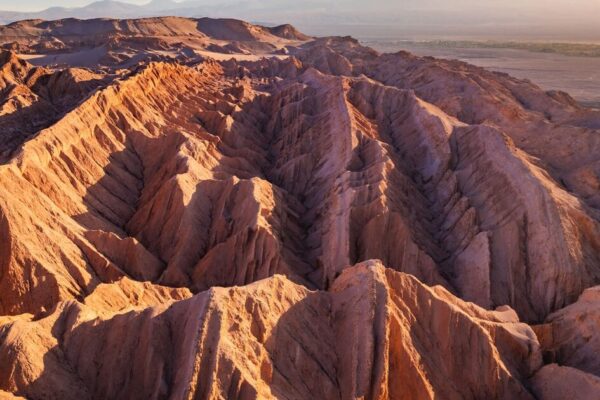 World's driest desert used to simulate expeditions to Mars | World | News