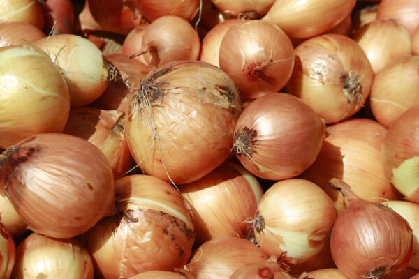 CDC Declares Onions Are Likely The Source Of McDonald's E. Coli Outbreak