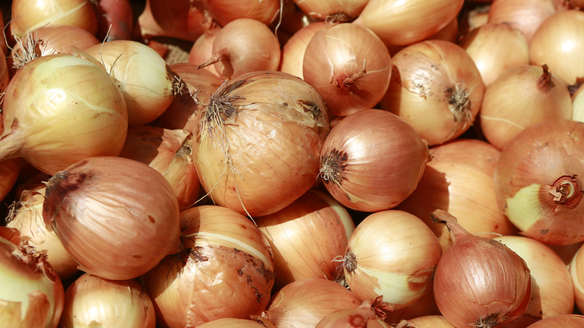 CDC Declares Onions Are Likely The Source Of McDonald's E. Coli Outbreak