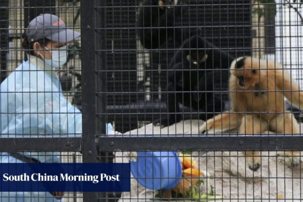 9 monkeys believed to have died in Hong Kong zoo from melioidosis bacterial infection