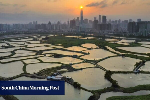 Consultant lays out vision for wetland park creation in Hong Kong’s Northern Metropolis