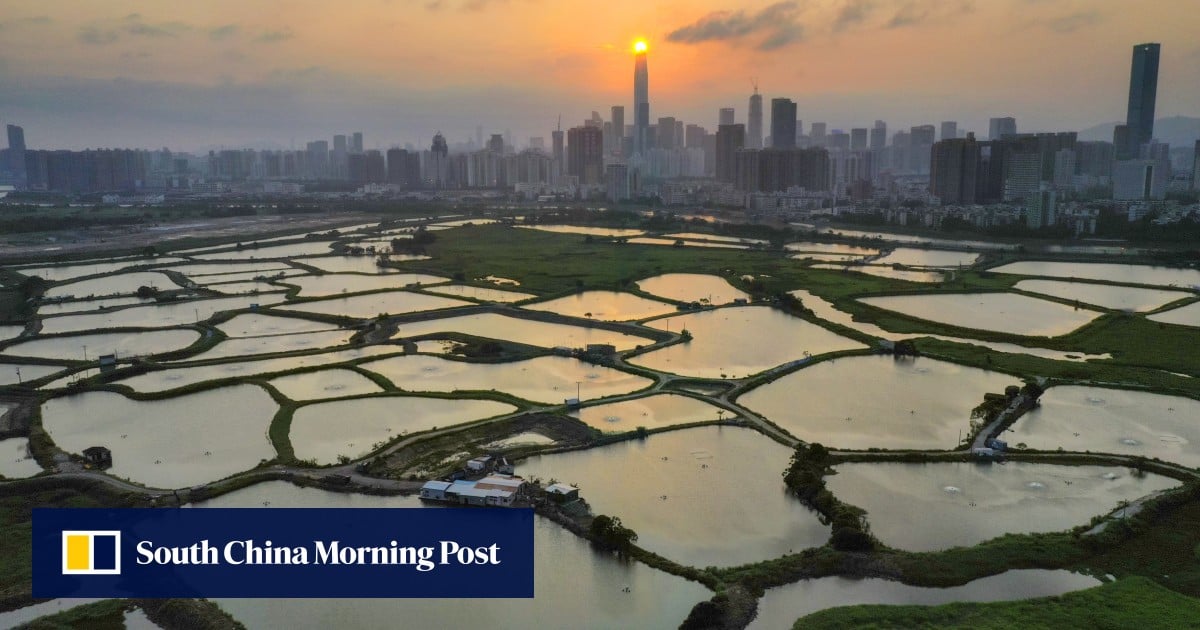 Consultant lays out vision for wetland park creation in Hong Kong’s Northern Metropolis