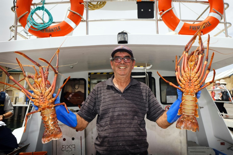 China To Lift Australia Lobster Ban, Ending Costly Trade War