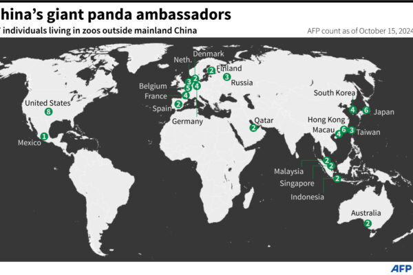 China's Giant Panda Ambassadors | Barron's