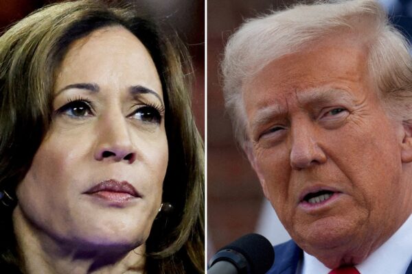 US poll ‘Nostradamus’ predicts if 'October Surprise' will influence election: ‘Harris will…’