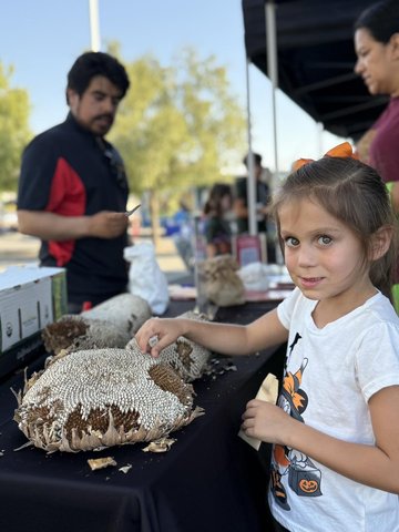 Farm to School: Promoting local, healthy eating amongst youth