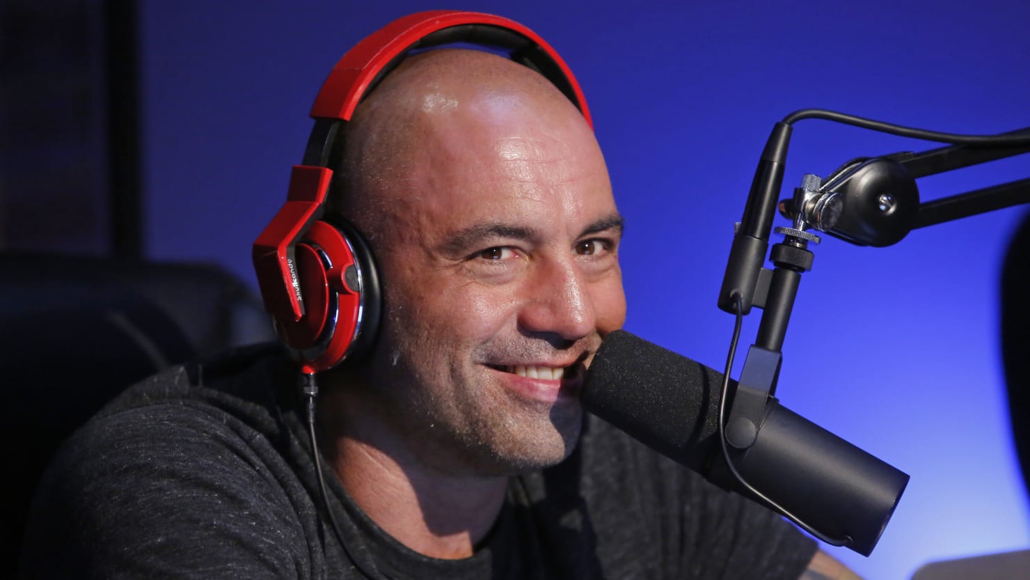 Kamala Harris’ Talks to Go on Joe Rogan’s Podcast Show Up Campaign Jitters
