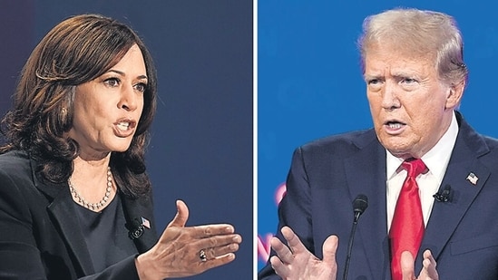 World News Live Today October 16, 2024: Trump’s betting market numbers against Harris tell a totally different story from polls