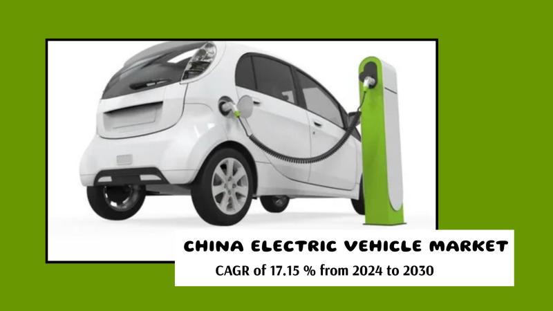 China Electric Vehicle Market