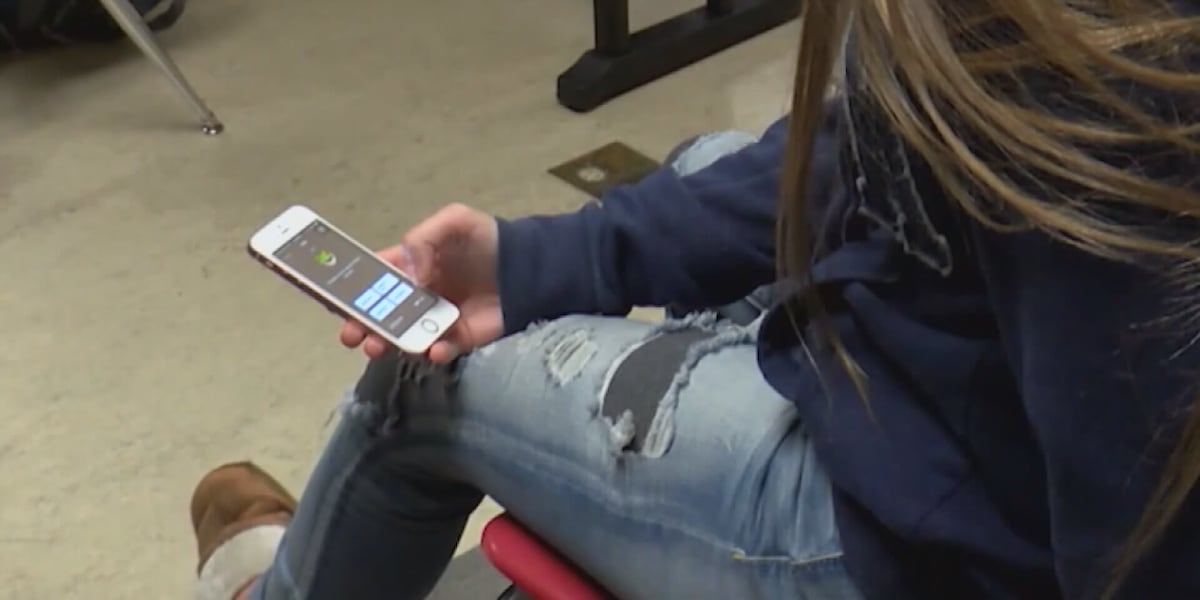 State leaders to address school cell phone usage at 2025 legislative session