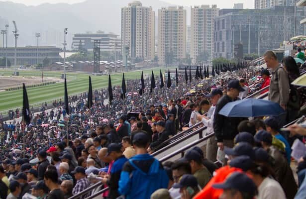 Picks, analysis, free PPs for Sha Tin