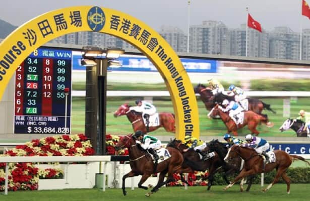 Hong Kong AI Play: Let's hit the trifecta