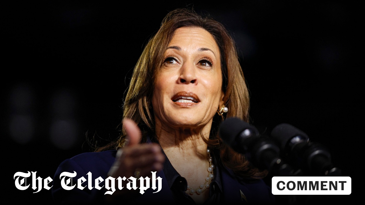 The stock market says Kamala Harris will win – and these are the sectors to back