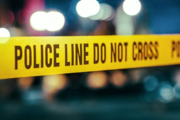 Long Island woman accused of intentionally hitting victim with vehicle: police