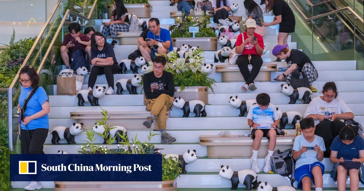 Hong Kong should scrap ‘panda economy’ focus as it is too ‘low end’, former minister says