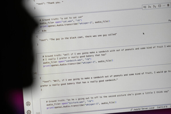 Researchers say an AI-powered transcription tool used in hospitals invents things no one ever said Researchers say an AI-powered transcription tool used in hospitals invents things no one ever said